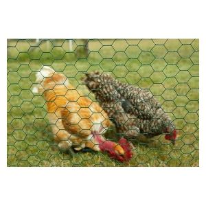 Wholesale hexagonal wire netting,Chicken Wire Mesh,Galvanized Hexagonal Wire Netting from china suppliers