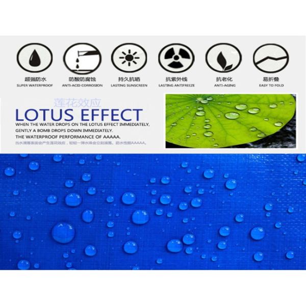 light duty clear flexible waterproof pe film