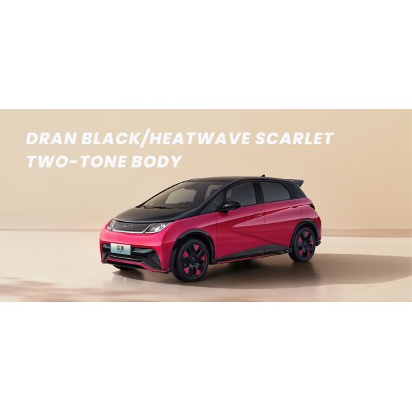 AWD BYD Dolphins EV All Electric Vehicle PHEV Custom