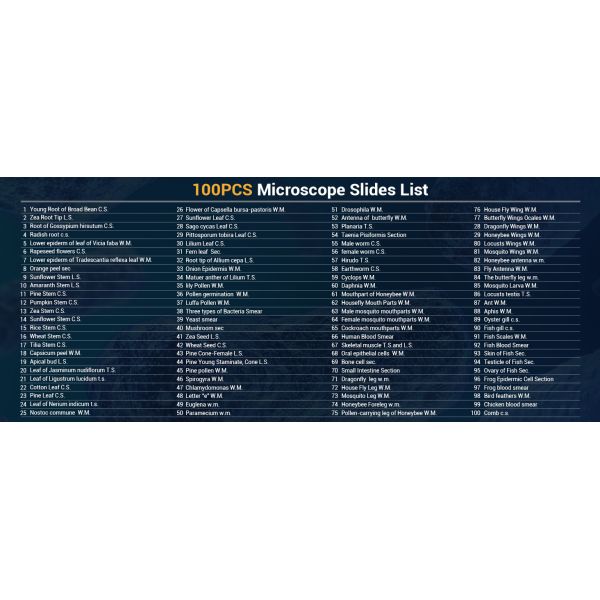 Microscope Slides With Specimens For Kids, Prepared Microscope Slides Plants Animals Insects, Microscope Slides