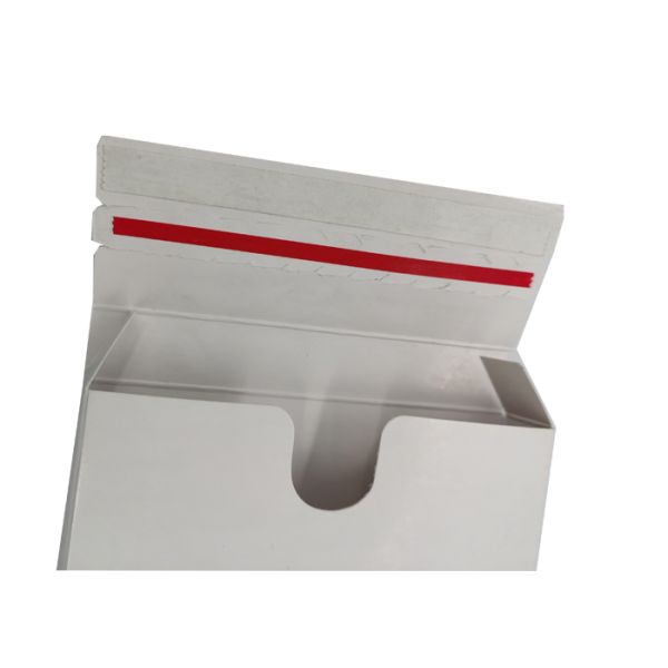 Biodegradable OEM Plastic Free Packaging Foldable Cardboard Gift Boxes