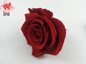 Wholesale Japanese preserved red rose flowers for wedding flower stands Natural Fresh flower rose from china suppliers