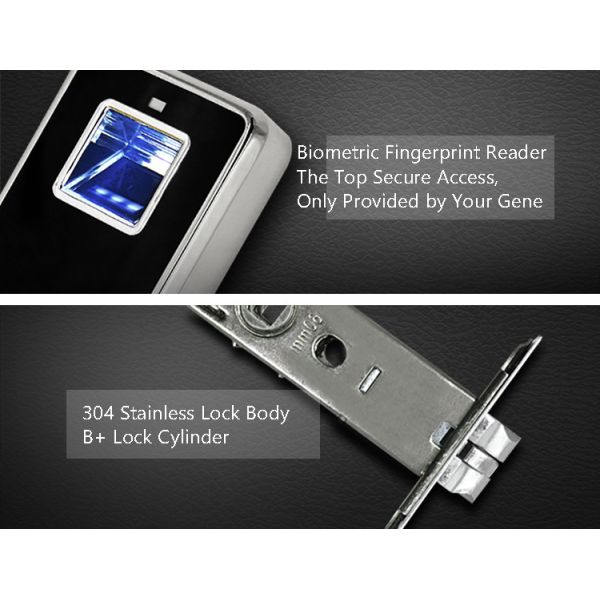 Multi Color Keyless Biometric Fingerprint Door Lock Quick Recognition