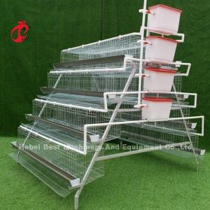 China 96 120 128 160 Birds Layer Chicken Battery Cages For Sale Adela on sale