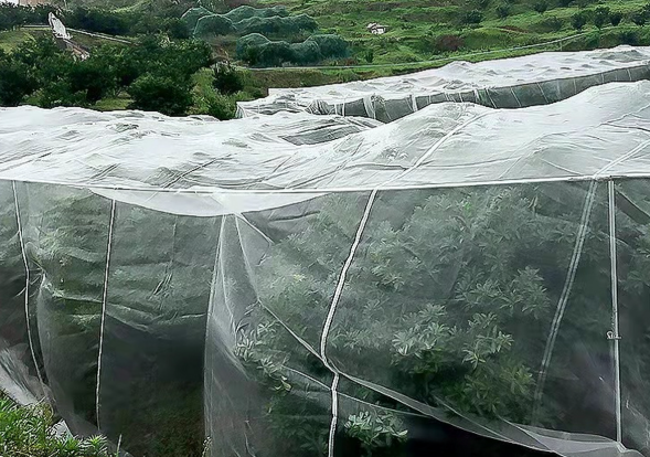 20 Mesh Mosquito Window Screen 1-3M 70g/M2 bulk mosquito screen