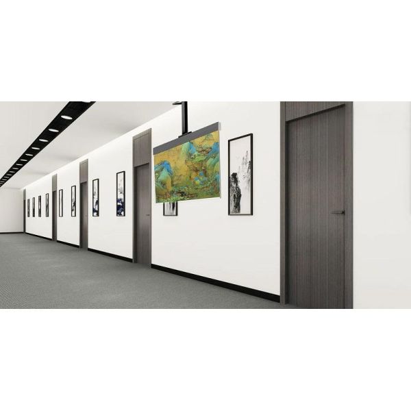 55-inch OLED Transparent Screen-hanging Model 1920*1080 Resolution 400 Nits Oled Transparent Oled Panel