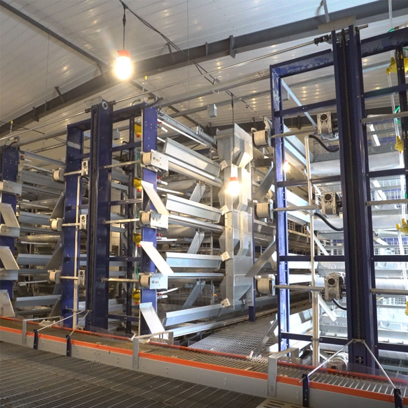 Galvanized Steel H Type Battery Layer Cages with Modular Structure and Automated Feeding for Poultry Farming