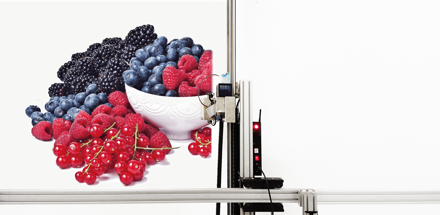 Outside 3D Mural Decor Vertical Direct to Wall Printer