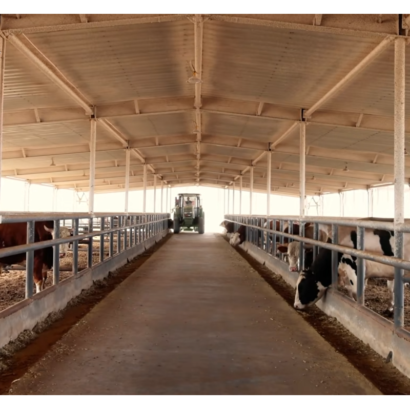 Heavy Duty Steel Horse Stable Modular Design For Customizable Horse Barn Systems