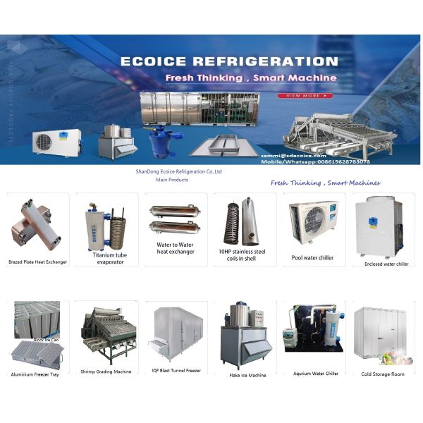 Automatic Industrial Shrimp Grading Machines