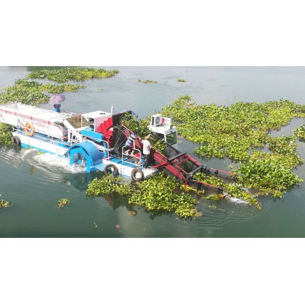 KEDA Full Automatic Aquatic Weed Harvester with 30 - 50 HP and 2 Rows for Efficient Water Hyacinth Harvesting