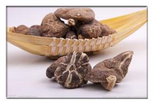China Dried mushroom, ediable mushroom , Dried Agaricus campestris,Dried Shiitake Mushroom on sale
