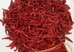 Wholesale NO Pigment Spicy Dried Chiles Steam Sterilized Chili Pods For Tamales from china suppliers