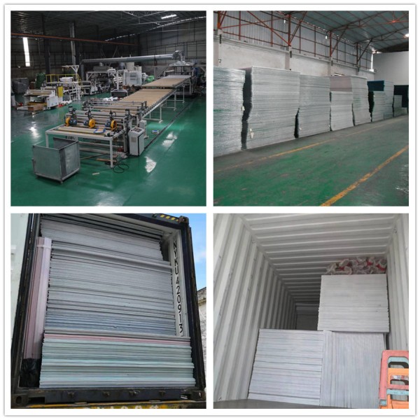 Polycarbonate Hollow Sheet Anti UV Polycarbonate Panel Lightweight Impact Resistant Clear Protective Roofing Panels
