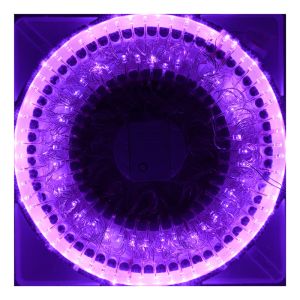 Wholesale LED String Party Lights from china suppliers