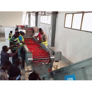Wholesale One Stop automatic Tomato Processing Line With CE Certification from china suppliers