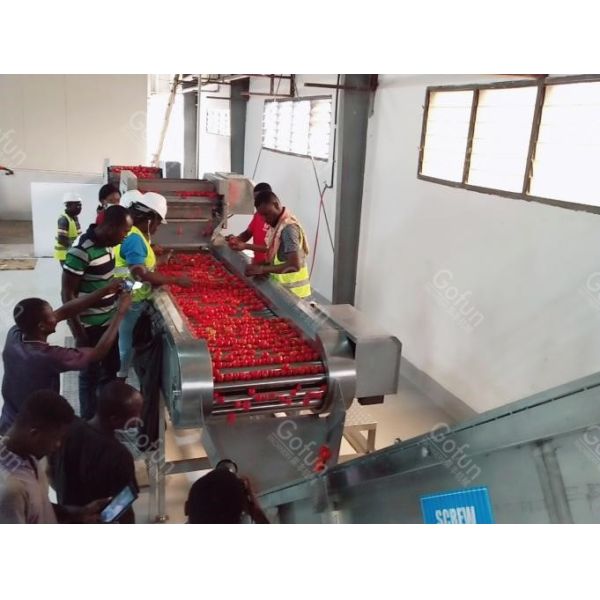 Aseptic Bag Automatic Tomato Paste Processing Equipment 25T/D 380V