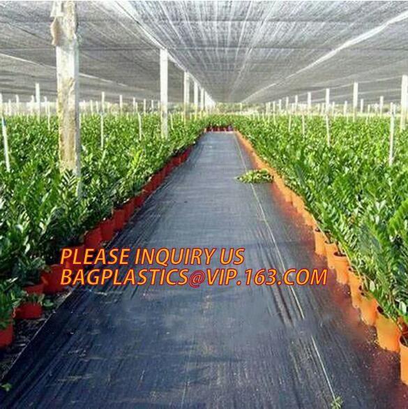 Custom biodegradable agriculture plastic mulch film,tubular roll with black colour for agricultural mulch film BAGEASE