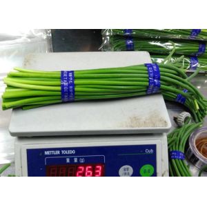Wholesale New Crop garlic growing green stems from china suppliers