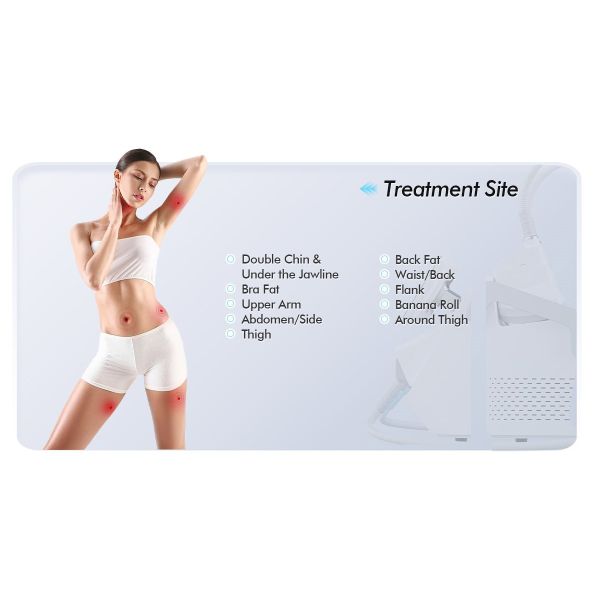 2 Handles Cryolipolysis 360 Machine Fat Removal Body Slimming Machine