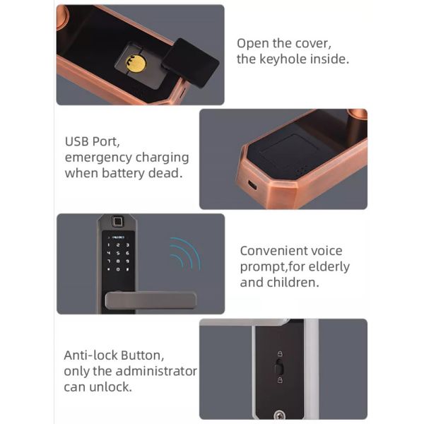 ROHS Fingerprint Smart Door Locks