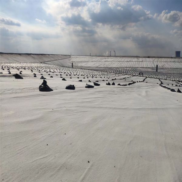 3D Composite Drainage Geonet for Greening System and Other Environmental Projects