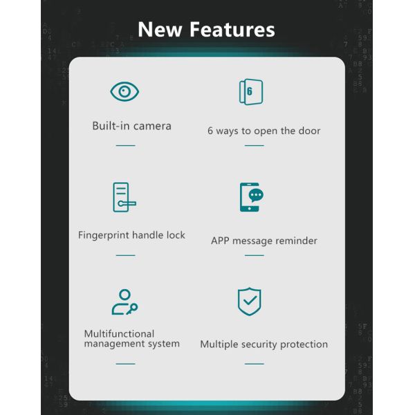 Face Recognition Fingerprint Door Lock Gold Biometric Gate Lock