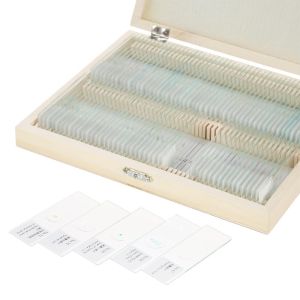 Prepared Higher Education 100pcs Microscope Slides Set For Students