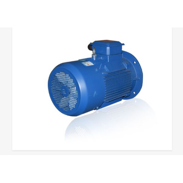 Brushless Induction Electric Motor Three Phase Asynchronous Motor 11KW 15HP 1460RPM