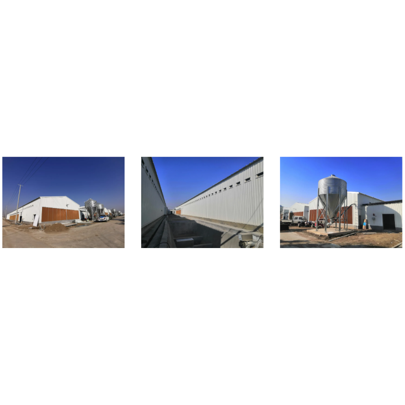 Prefabricated Steel Structure Thermostatic Hot DIP Galvanized Steel Poultry Chicken House