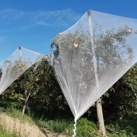 UV Resistant Hail Net 0.8mm Thickness Designed to Protect Crops