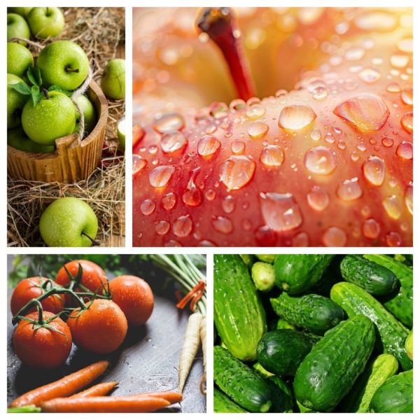 Fruit Cleaning Machine Multi-Function Vegetable Washing Equipment for Quick Cleaning