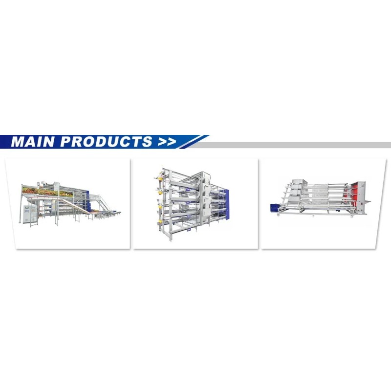 Hot-Dip Galvanized H-Type Battery Cage for Space-Saving Poultry Farming with Low Egg Breakage