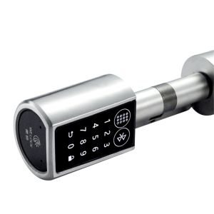 Tuya smart lock(PBTY0KEY)