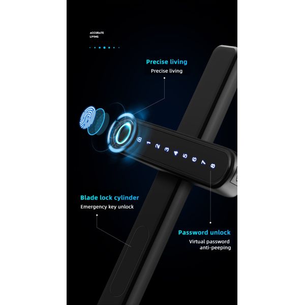 Black Ttlock Door Lock