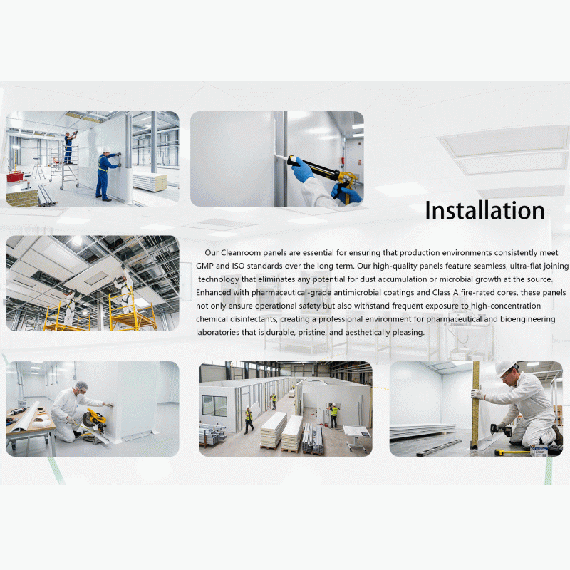Air Shower | Personnel Purification | Cleanroom Entry Control