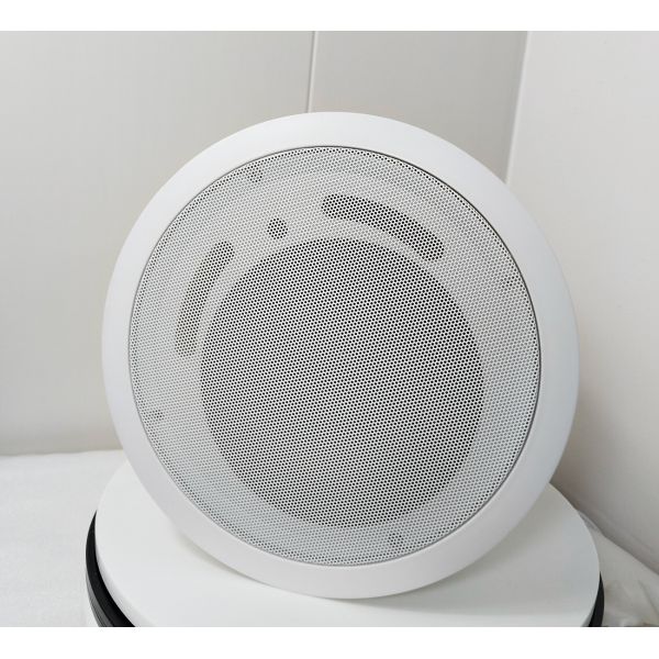 Coaxial Flush Mount Ceiling Speaker 8 Ohm Impedance Waterproof