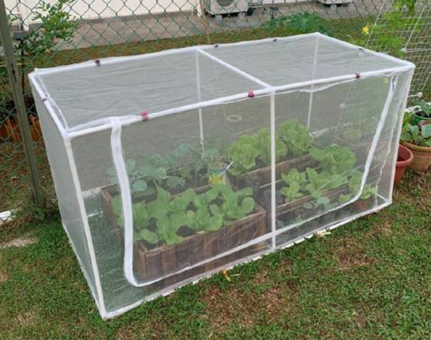 3m Width Anti Insect Netting 50 Mesh For Vegetable Greenhouse