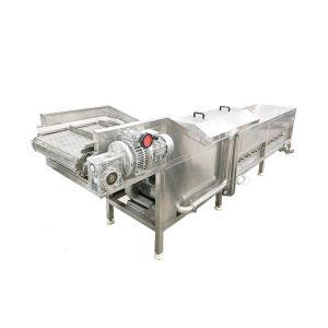 300kg/h 2.95kw Raspberry Vegetable Blanching Machine