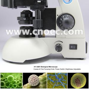40x - 1600x Lab Student Achromatic Biological Microscope Monocular Microscopes