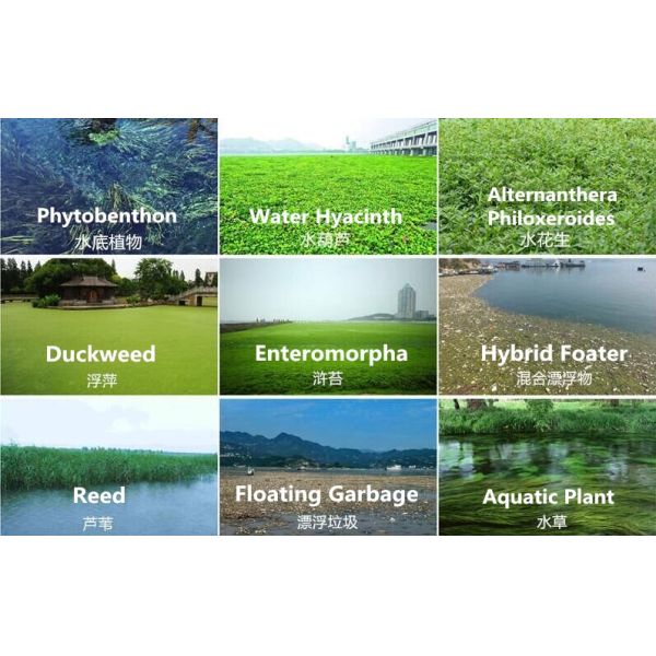 KEDA Full Automatic Aquatic Weed Harvester with 30 - 50 HP and 2 Rows for Efficient Water Hyacinth Harvesting