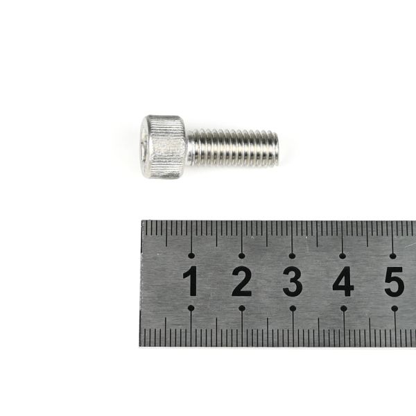 Mechanical Products Custom Stainless Steel Fillister Head Hex Socket Machine Screws