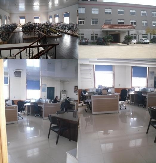 36V/10AH Battery Capacity 24inch Chopper Bicycle Best Choice with 30km/h Max Speed