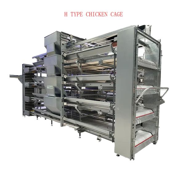 Full Automatic H-Type Layer Chicken Cage with Hot Dip Galvanized Drinkers and Feeders for Poultry Farm