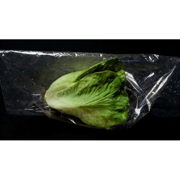 Best price Green Bags Keep Vegetables Fresh Micro-perforated Liner clear CPP Plastic lettuce Bag Packing for Fruit